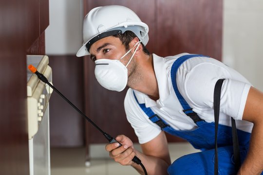 Pest Worker Using Sprayer On Cabinets In Kitchen