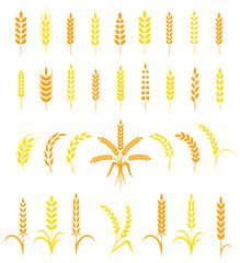 Set of simple and stylish Wheat Ears icons.
