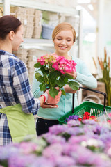 happy women choosing flowers in greenhouse