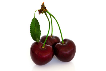 rote Kirschen vor weißem Hintergrund