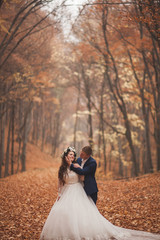 Happy wedding couple, bride and groom walking in the autumn forest, park