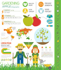 Gardening work, farming infographic. Apple. Graphic template. Fl