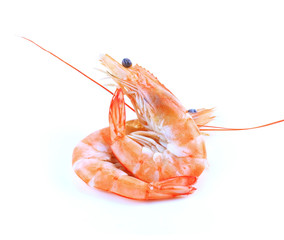 some shrimps on a white background