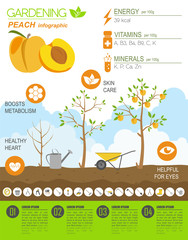 Gardening work, farming infographic. Peach. Graphic template. Fl
