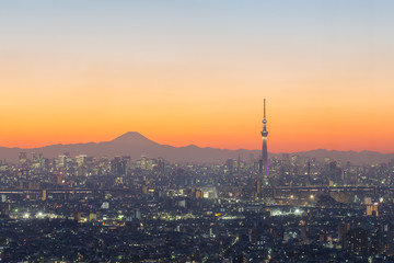 Naklejka premium Tokyo city view and mountain fuji at sunset..