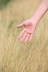 hand touching dry grass