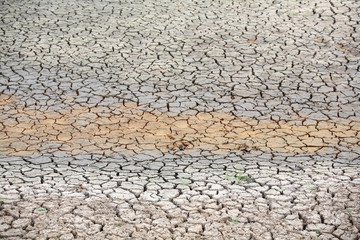 landscape of dry land