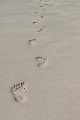 footprints in the sand at tropical beach sea
