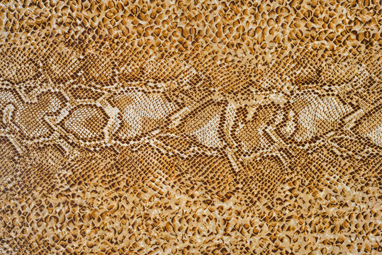 texture of print fabric striped snake leather