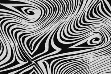 texture of print fabric striped zebra