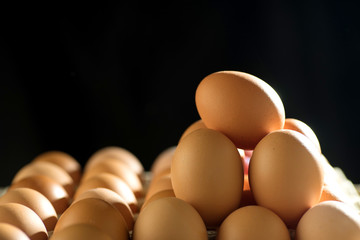 egg line over on tray