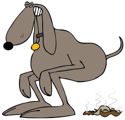 Illustration of a brown dog squatting to take a poop.