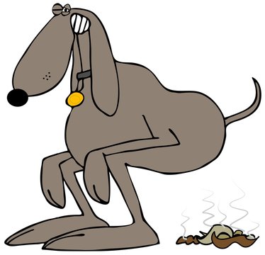 Illustration Of A Brown Dog Squatting To Take A Poop.