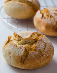 fresh crusty bread bun