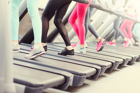 Group Of Women Jogging On Treadmill