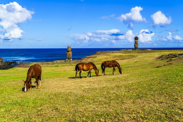 Fototapeta na wymiar Horses grazing at Ahu Tahai and Ahu Ko Te Riku
