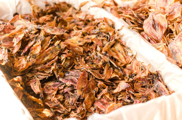 Dried squid on plastic bag for sale