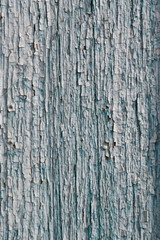 Obraz premium Old blue cracked paint on wooden background