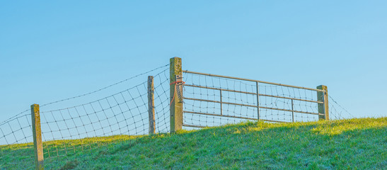 Fototapeta premium Fence on a sunlit dike in spring