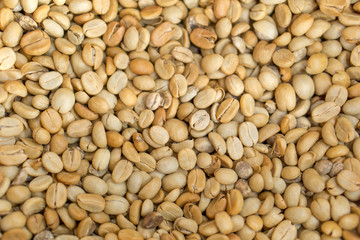 Dry coffee bean