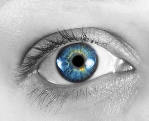 closeup of the beautiful female eye