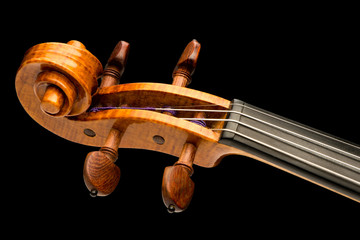 Violin on Black