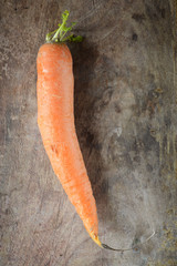 carotte1