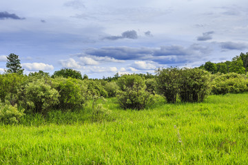 Fototapeta na wymiar Rural Landscape in Summer