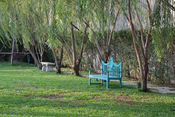 Blue garden chair in garden with many green tree and pathway / Blue chair in graden