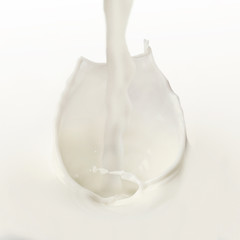 Fototapeta na wymiar Milk splash isolated on white