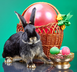 Black Rabbit sits near a vase with colored eggs and a basket with a big red ball
