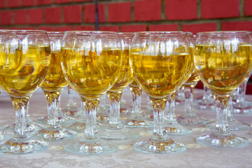 Row of wine glasses