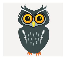 Cute Vector Collection of Bright Owls