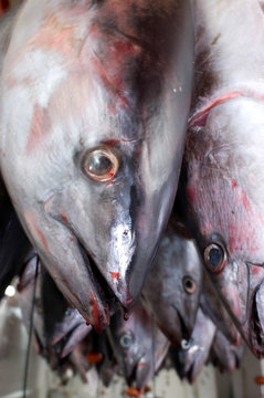 Raw fish hanging upside down