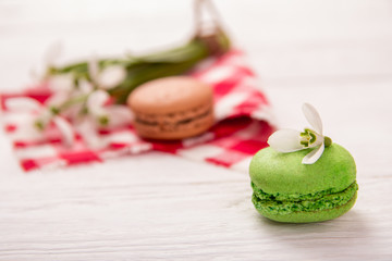 macaroon and snowdrops on the table