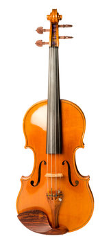 Violin on White