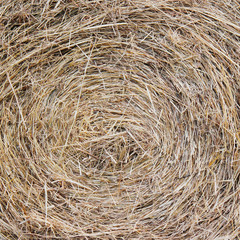 straw bale texture