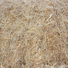 straw bale texture