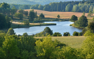 Fototapeta na wymiar Summer landscape with meadows and lake