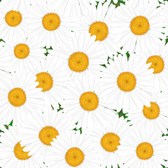 Seamless texture in a field of daisies