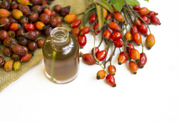 Dog roses and essential oil, bunch of dog rose, Herbal tea, Different types Rosa canina hips and hawthorn, dry goji berries, briar powder in wooden spoon. chinese herbal medicine selection in wooden