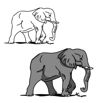 Grey big elephant (for coloring) 0