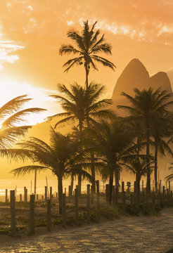 Palm trees at sunset on Ipanema beach, Rio De Janeiro, Brazil
