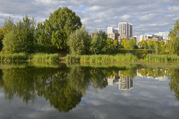 Fototapeta na wymiar Lake in the landscape park on the outskirts of Moscow