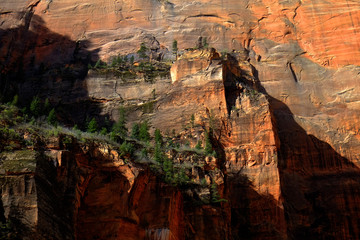 Red Canyons Trees and Cliffs