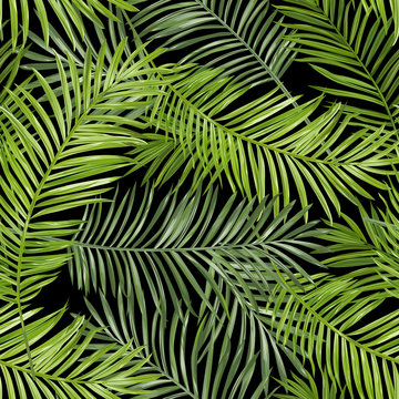 Seamless Pattern. Tropical Palm Leaves Background. Vector Background