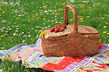 Spring picnic , Picnic basket and blanket on green grass in park, nature.