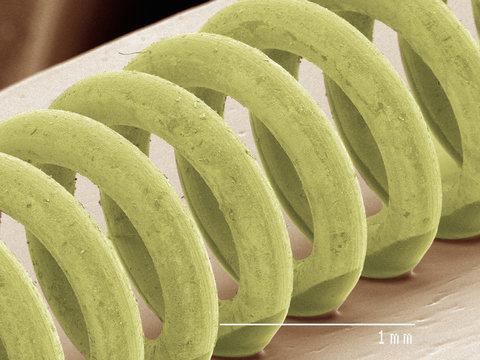 Coloured SEM of a spring