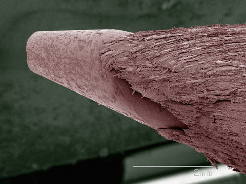 Coloured SEM of pencil nib