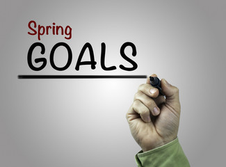 Hand with marker writing Spring goals